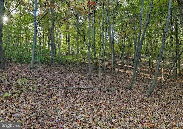 58 Buck Run Rd, Conestoga, PA 17516