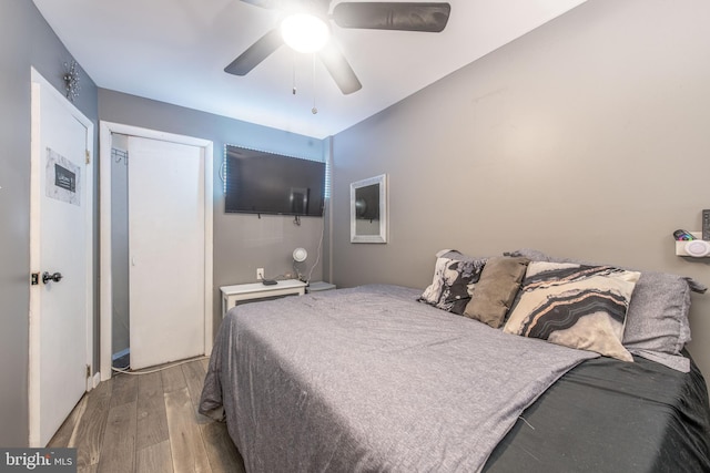 2212 S Bouvier St, Philadelphia, PA 19145 - bedroom with wood finished floors, ceiling fan, and a closet