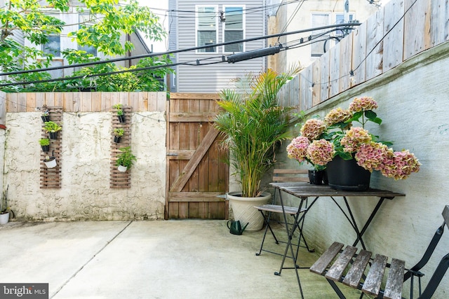 1229 S Bucknell St, Philadelphia, PA 19146 - view of patio / terrace