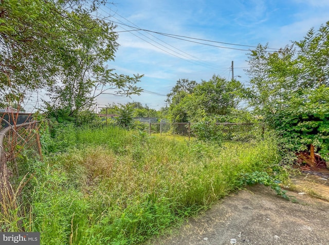 3601 9th St, Baltimore, MD 21225 - view of yard