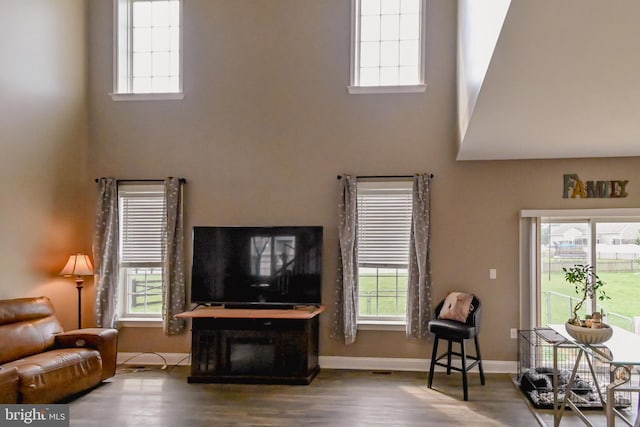 223 Fitzgerald St, Gerrardstown, WV 25420 - living room with a towering ceiling, plenty of natural light, and wood finished floors