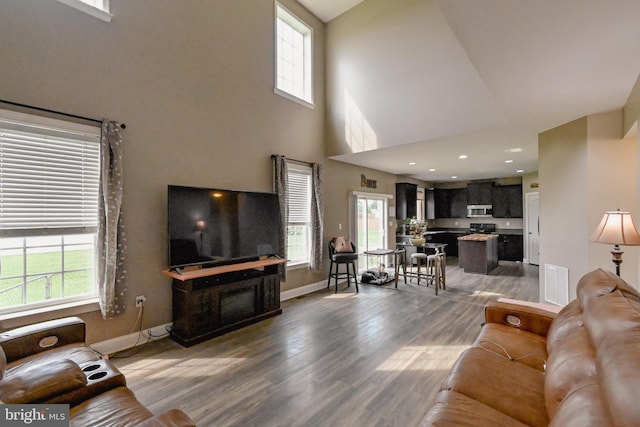 223 Fitzgerald St, Gerrardstown, WV 25420 - living area featuring healthy amount of natural light, wood finished floors, and a towering ceiling