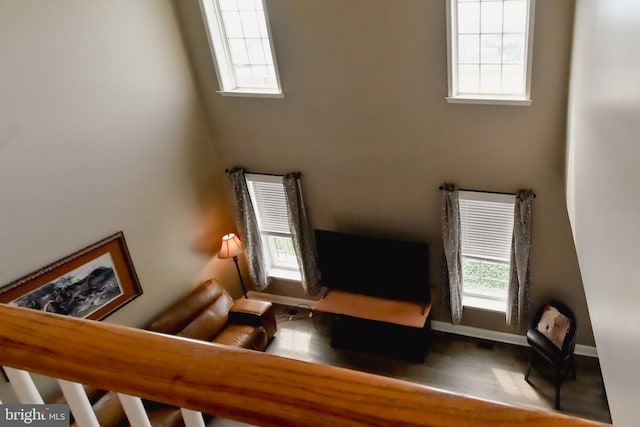 223 Fitzgerald St, Gerrardstown, WV 25420 - living area featuring plenty of natural light, wood finished floors, and a towering ceiling