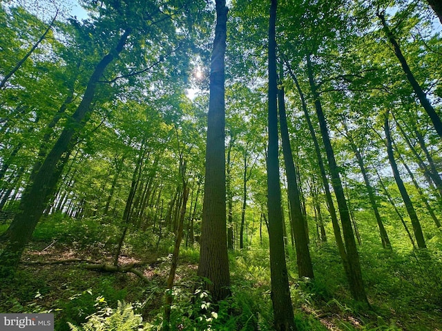 TBD Compressor Station Rd, Bruceton Mills, WV 26525