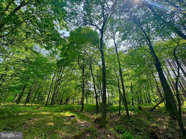 TBD Compressor Station Rd, Bruceton Mills, WV 26525