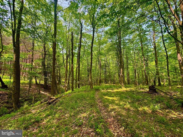 TBD Compressor Station Rd, Bruceton Mills, WV 26525