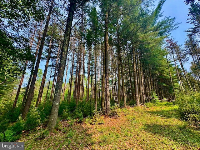 TBD Compressor Station Rd, Bruceton Mills, WV 26525
