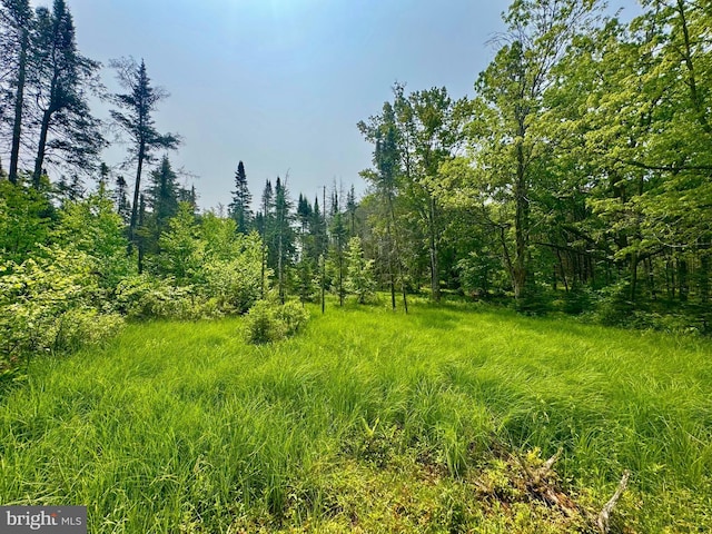 TBD Compressor Station Rd, Bruceton Mills, WV 26525
