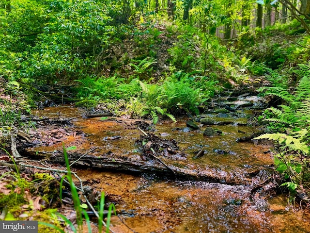 TBD Compressor Station Rd, Bruceton Mills, WV 26525