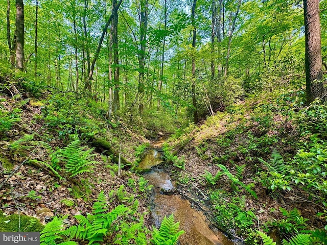 TBD Compressor Station Rd, Bruceton Mills, WV 26525