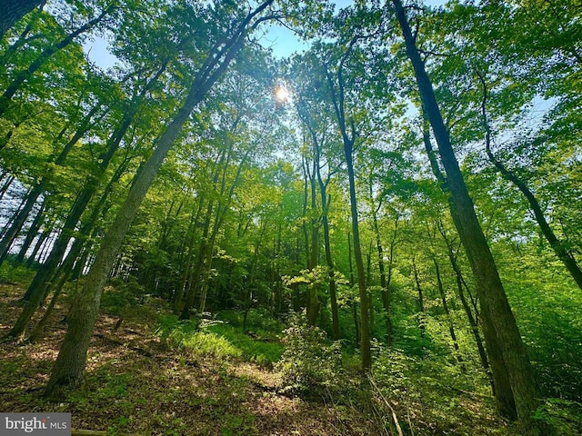 TBD Compressor Station Rd, Bruceton Mills, WV 26525