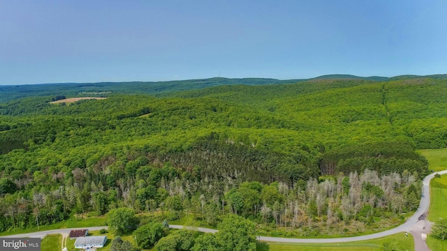 TBD Compressor Station Rd, Bruceton Mills, WV 26525