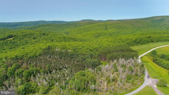TBD Compressor Station Rd, Bruceton Mills, WV 26525