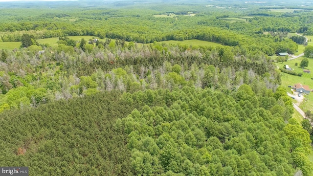 TBD Compressor Station Rd, Bruceton Mills, WV 26525