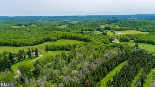TBD Compressor Station Rd, Bruceton Mills, WV 26525