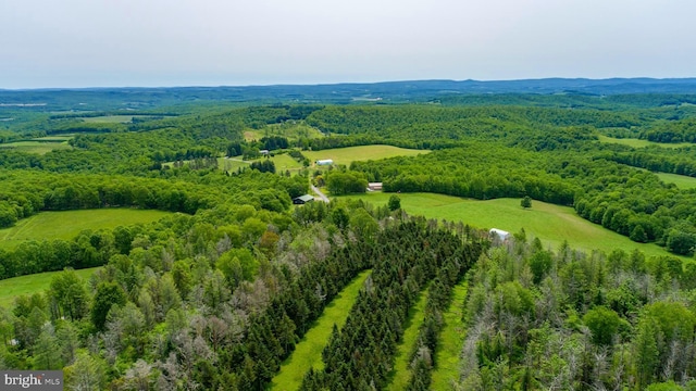 TBD Compressor Station Rd, Bruceton Mills, WV 26525