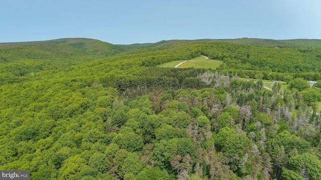 TBD Compressor Station Rd, Bruceton Mills, WV 26525