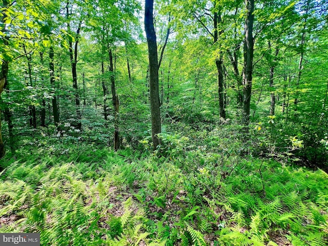 TBD Compressor Station Rd, Bruceton Mills, WV 26525