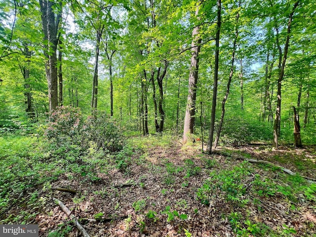 TBD Compressor Station Rd, Bruceton Mills, WV 26525