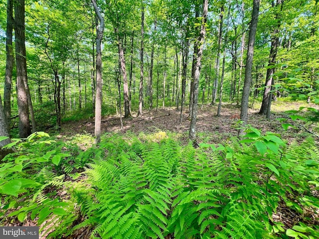 TBD Compressor Station Rd, Bruceton Mills, WV 26525
