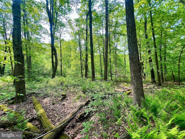 TBD Compressor Station Rd, Bruceton Mills, WV 26525