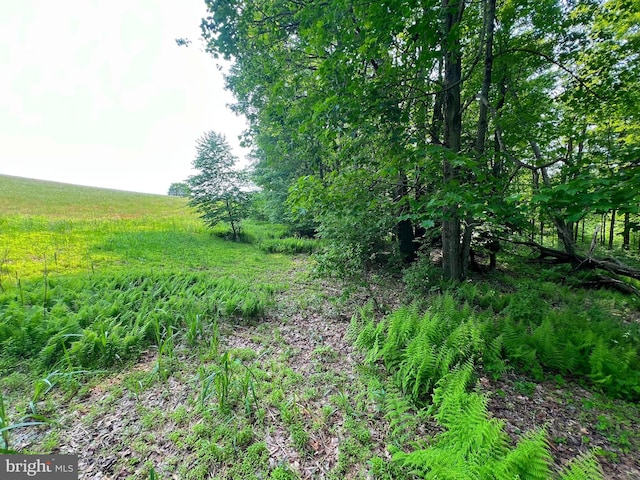 TBD Compressor Station Rd, Bruceton Mills, WV 26525
