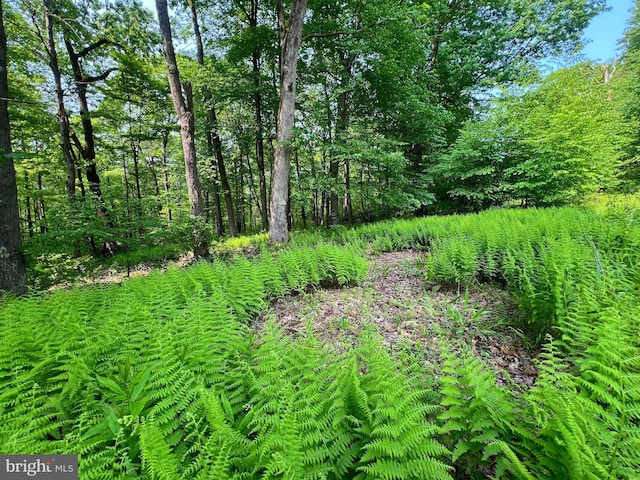 TBD Compressor Station Rd, Bruceton Mills, WV 26525