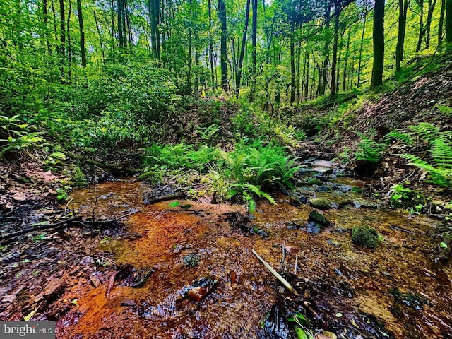 TBD Compressor Station Rd, Bruceton Mills, WV 26525