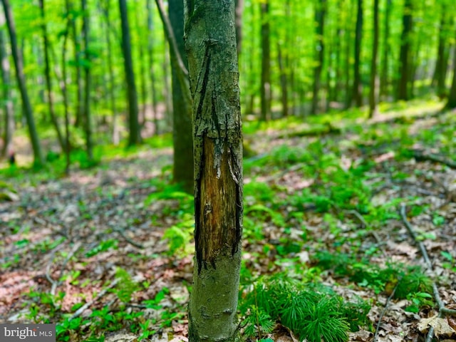 TBD Compressor Station Rd, Bruceton Mills, WV 26525