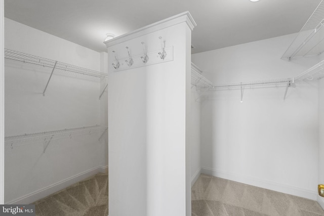 12824 Clarksburg Square Rd Unit 406, Clarksburg, MD 20871 - walk in closet with carpet floors