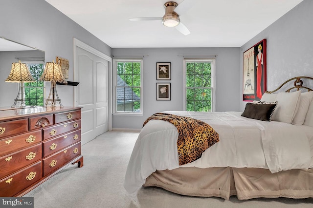 14 Canaday Ct, Belle Mead, NJ 08502 - bedroom with carpet and a ceiling fan