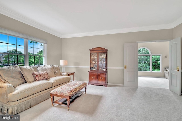 14 Canaday Ct, Belle Mead, NJ 08502 - carpeted living area with ornamental molding and baseboards
