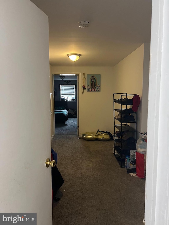 2612 E Somerset St, Philadelphia, PA 19134 - hallway featuring carpet flooring