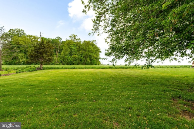 1721 Pioneer Rd, Lancaster, PA 17602 - view of green lawn