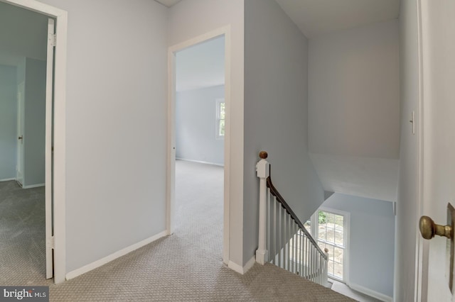 1628 Mount Eagle Pl, Alexandria, VA 22302 - hallway featuring an upstairs landing and carpet