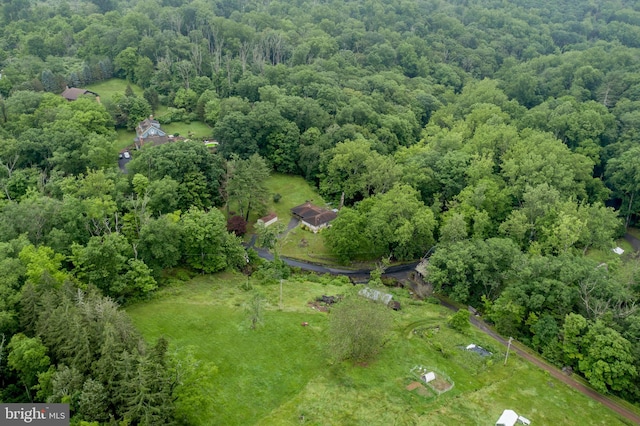 35 Strimples Mill Rd, Stockton, NJ 08559 - view of property location with a heavily wooded area