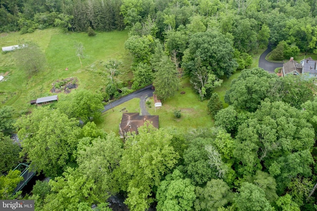 35 Strimples Mill Rd, Stockton, NJ 08559 - view of property location featuring a forest