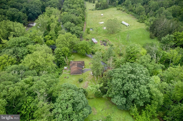 35 Strimples Mill Rd, Stockton, NJ 08559 - view of property location with a forest