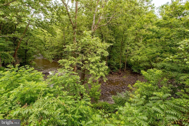 35 Strimples Mill Rd, Stockton, NJ 08559 - view of woods