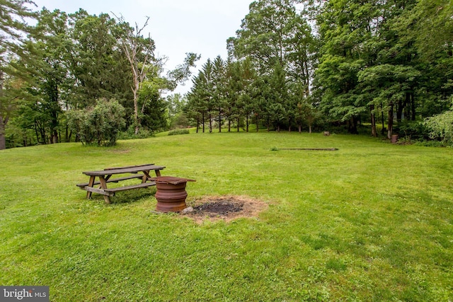 35 Strimples Mill Rd, Stockton, NJ 08559 - view of green lawn featuring view of scattered trees