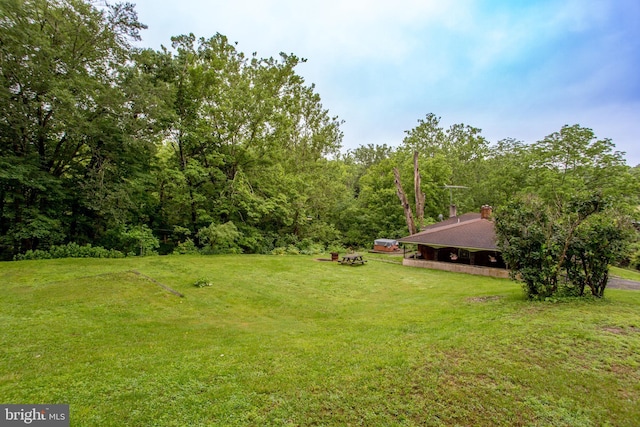 35 Strimples Mill Rd, Stockton, NJ 08559 - view of green lawn featuring a forest view