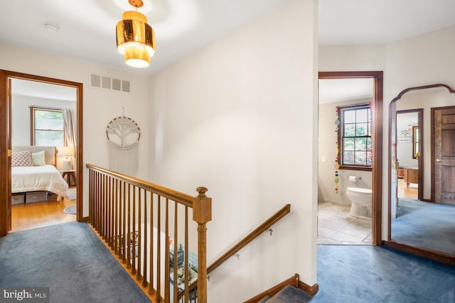 11 Creek Rd, Southampton, PA 18966 - hall with plenty of natural light, an upstairs landing, and carpet floors