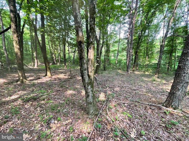 52/-ACRES Jim Smith Ln, New Windsor, MD 21776