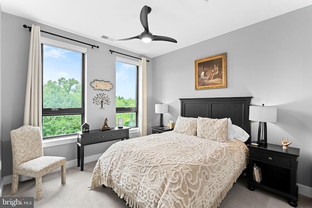 44691 Wellfleet Dr Unit 306, Ashburn, VA 20147 - bedroom with light carpet, multiple windows, and ceiling fan