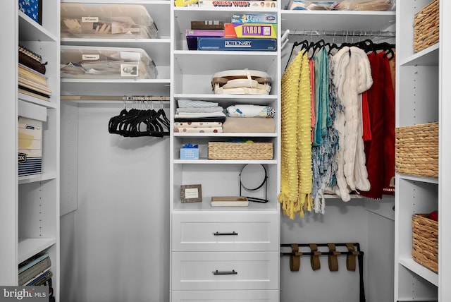 44691 Wellfleet Dr Unit 306, Ashburn, VA 20147 - view of spacious closet