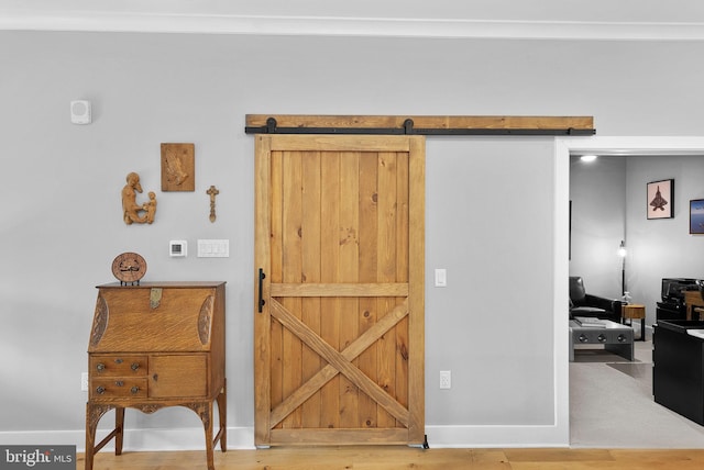 44691 Wellfleet Dr Unit 306, Ashburn, VA 20147 - detailed view of a barn door and baseboards