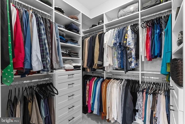 44691 Wellfleet Dr Unit 306, Ashburn, VA 20147 - view of walk in closet