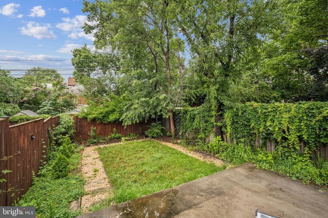 304 S Veitch St, Arlington, VA 22204 - fenced backyard with a patio area