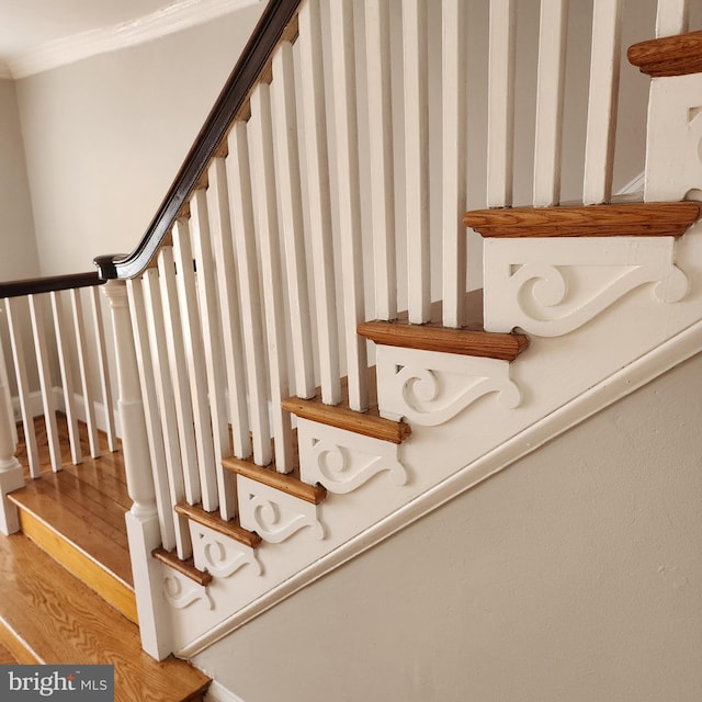 175 Stoneway Ln, Bala Cynwyd, PA 19004 - stairway with wood finished floors and ornamental molding