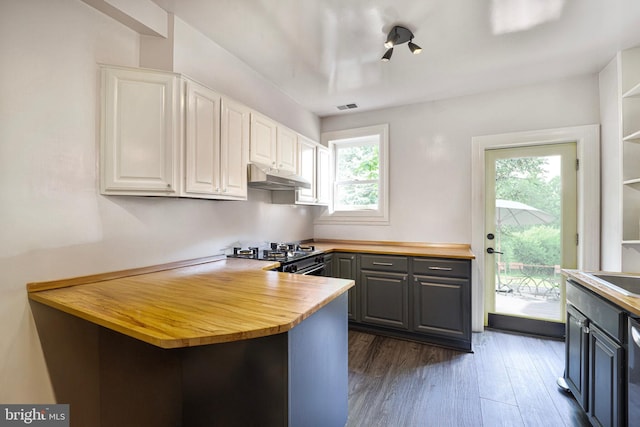 1513 Swann St NW, Washington, DC 20009 - kitchen featuring wood counters, under cabinet range hood, and white cabinets